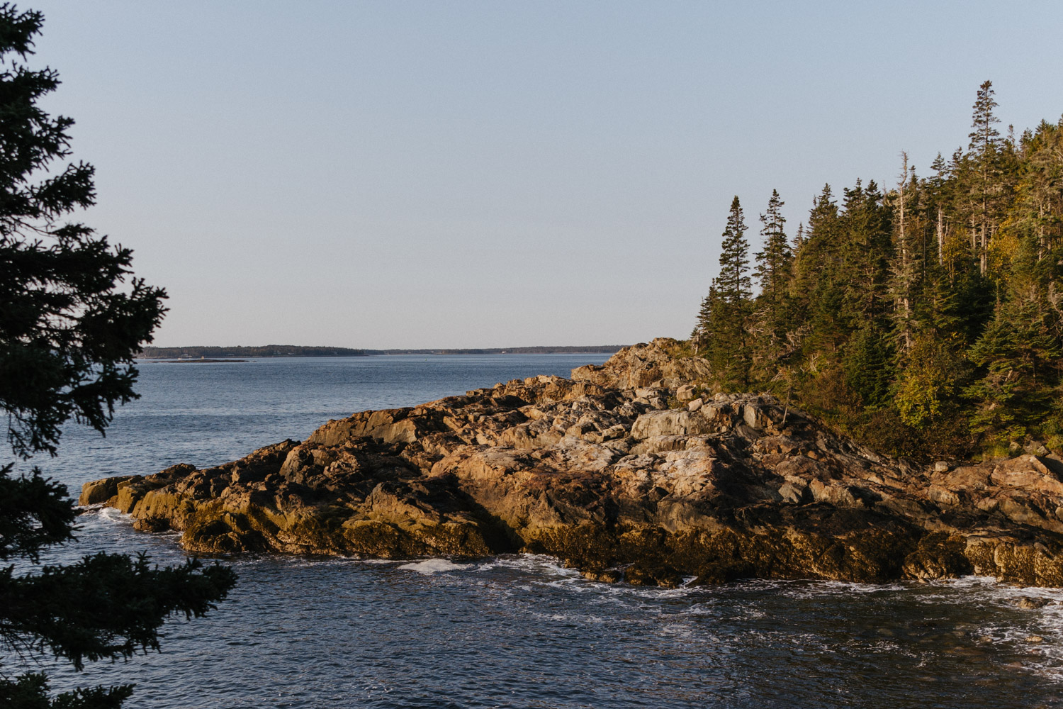 stunning shoreline of Acadia national park