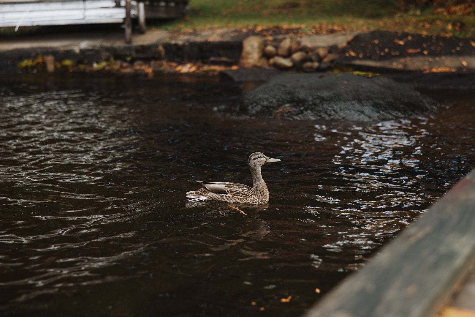 upstate New York Adirondack mountain elopement timeline from Erica Warren Photography