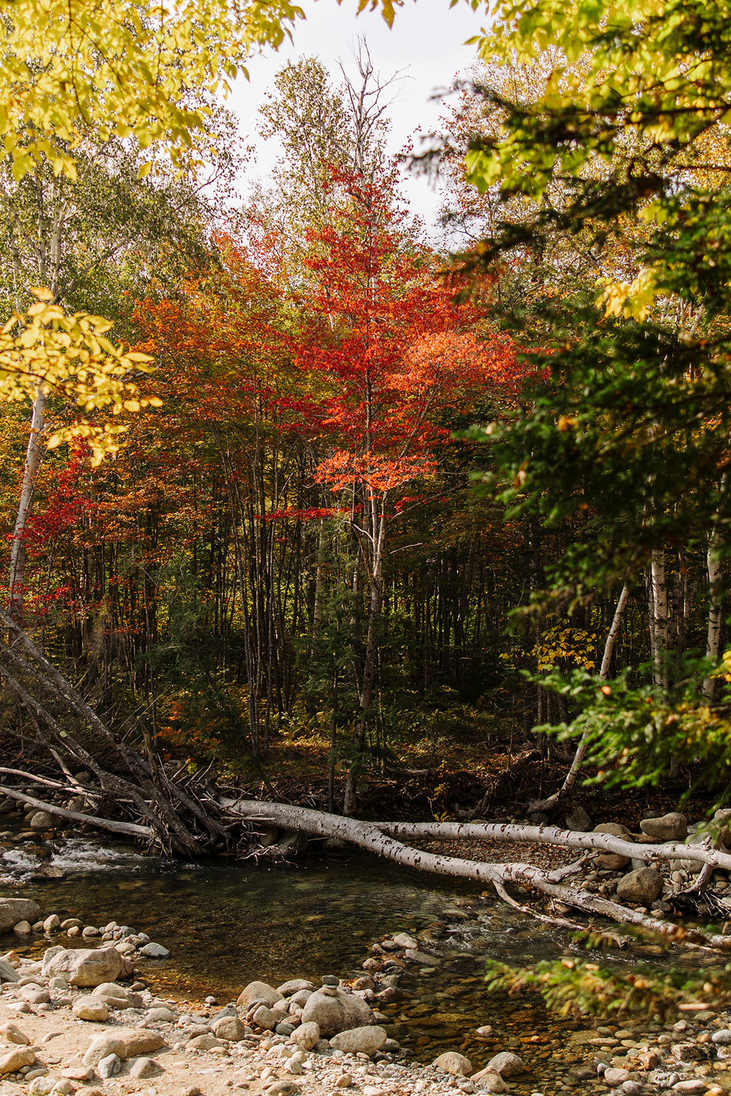 stunning New Hampshire fall foliage