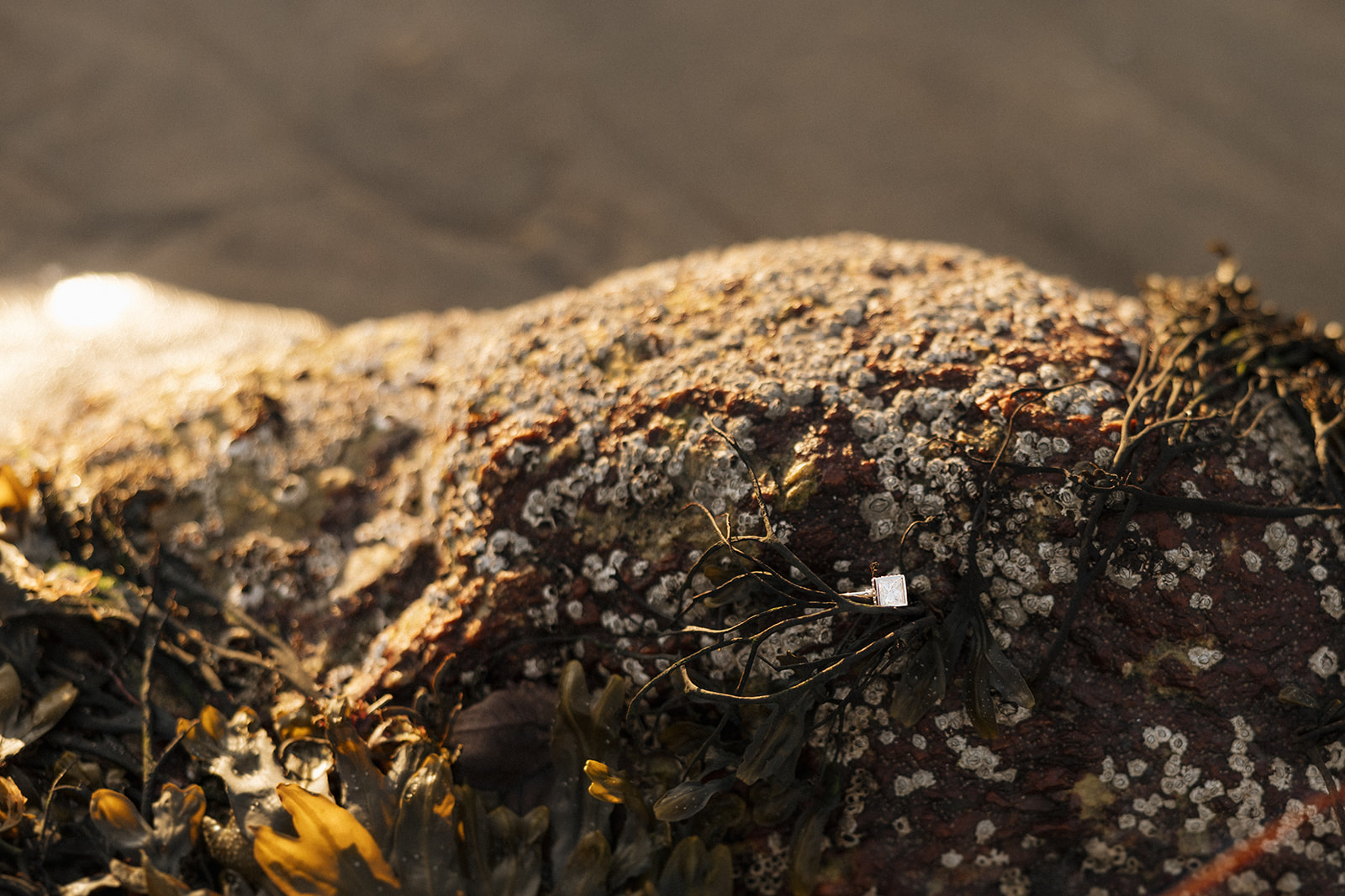 beautiful engagement ring on an East Coast beach