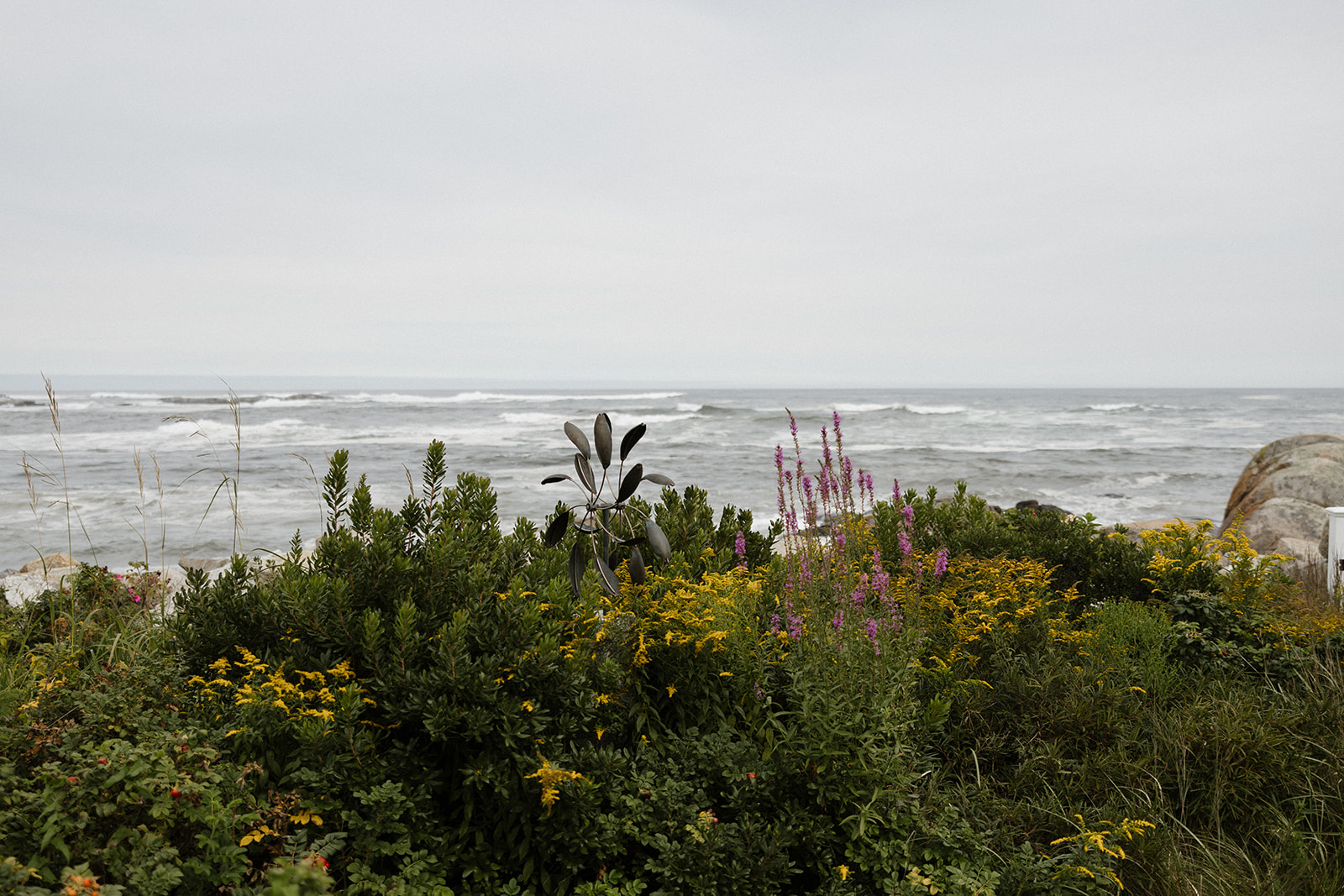 stunning coastal Maine wedding shot by Erica Warren Photography