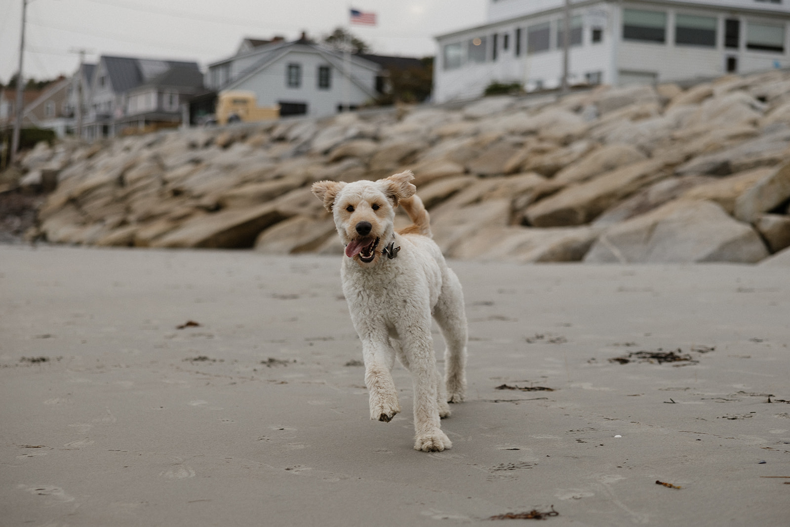 beautiful Maine beach engagement photos