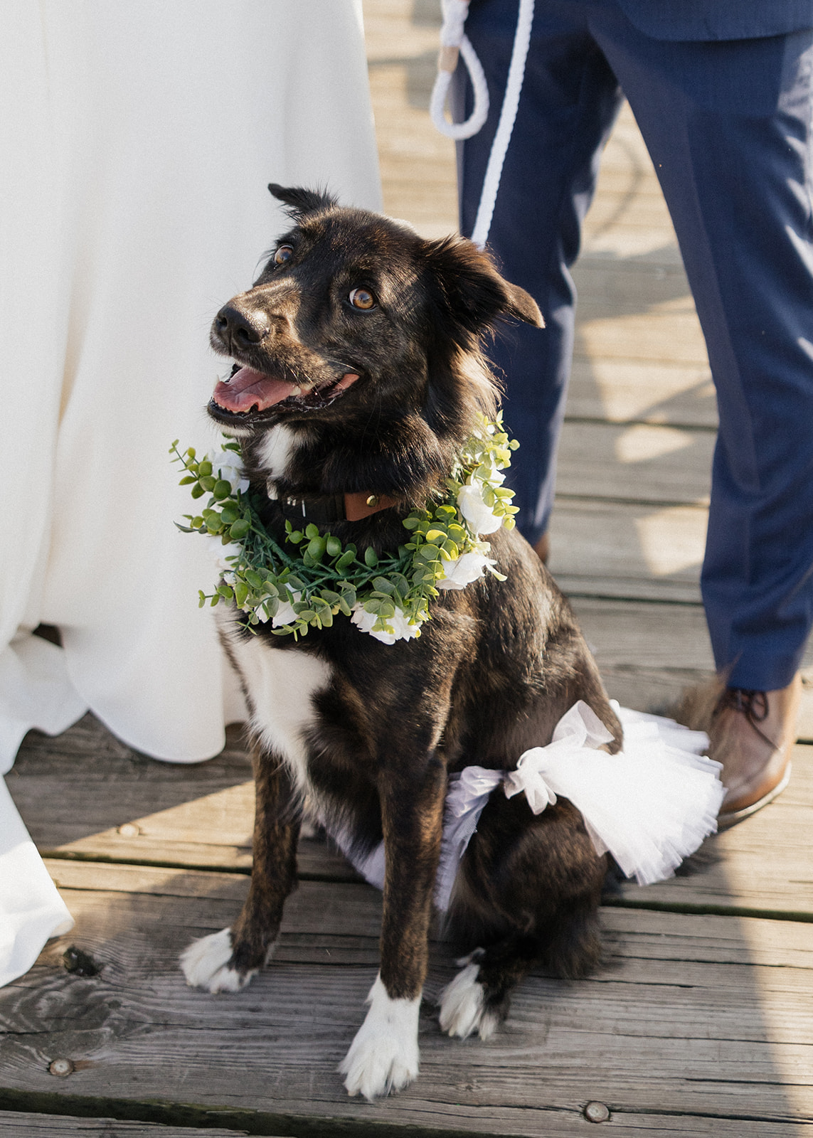 Elegant southern Maine wedding photography from Erica Warren Photography