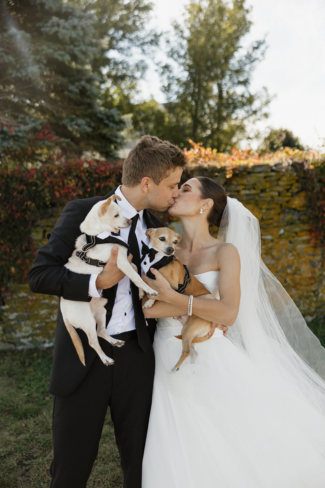 beautiful bride and groom pose for a photo with their dogs after their Portland, Maine city hall wedding