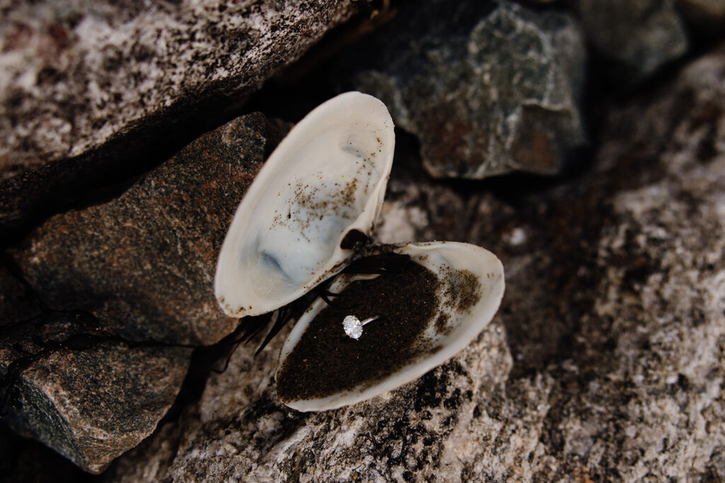 ring sits in an oyster on the East Coast 