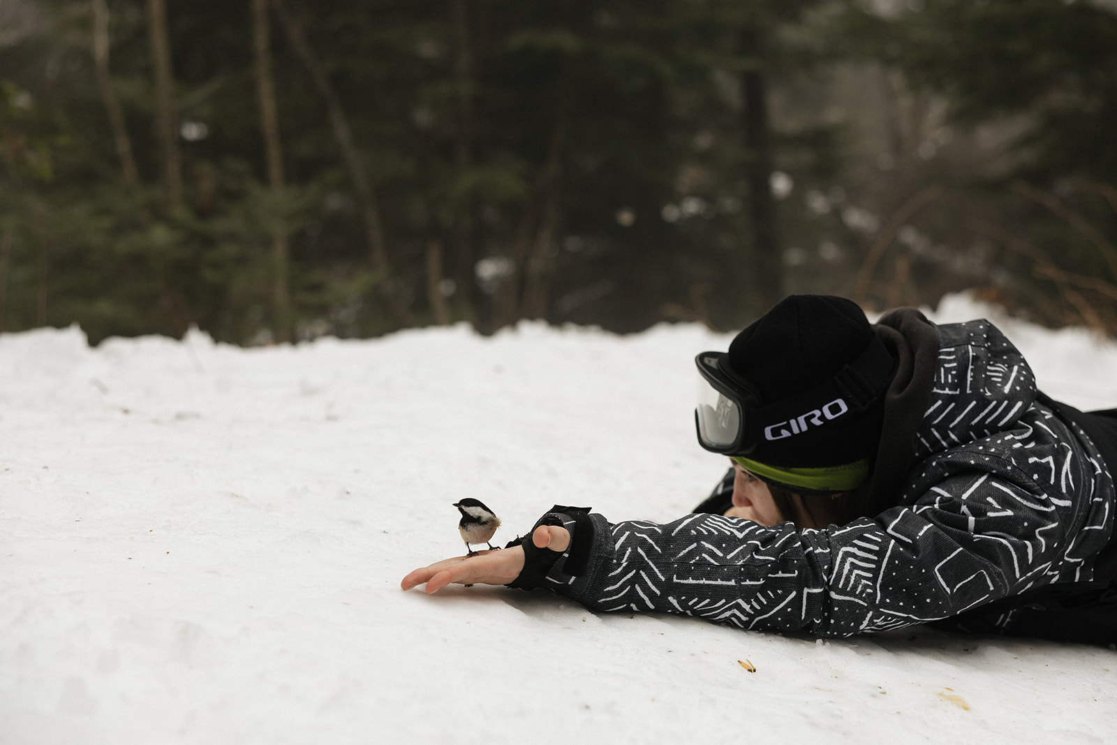 bride lies still on the snow and a bird lands on her hand 