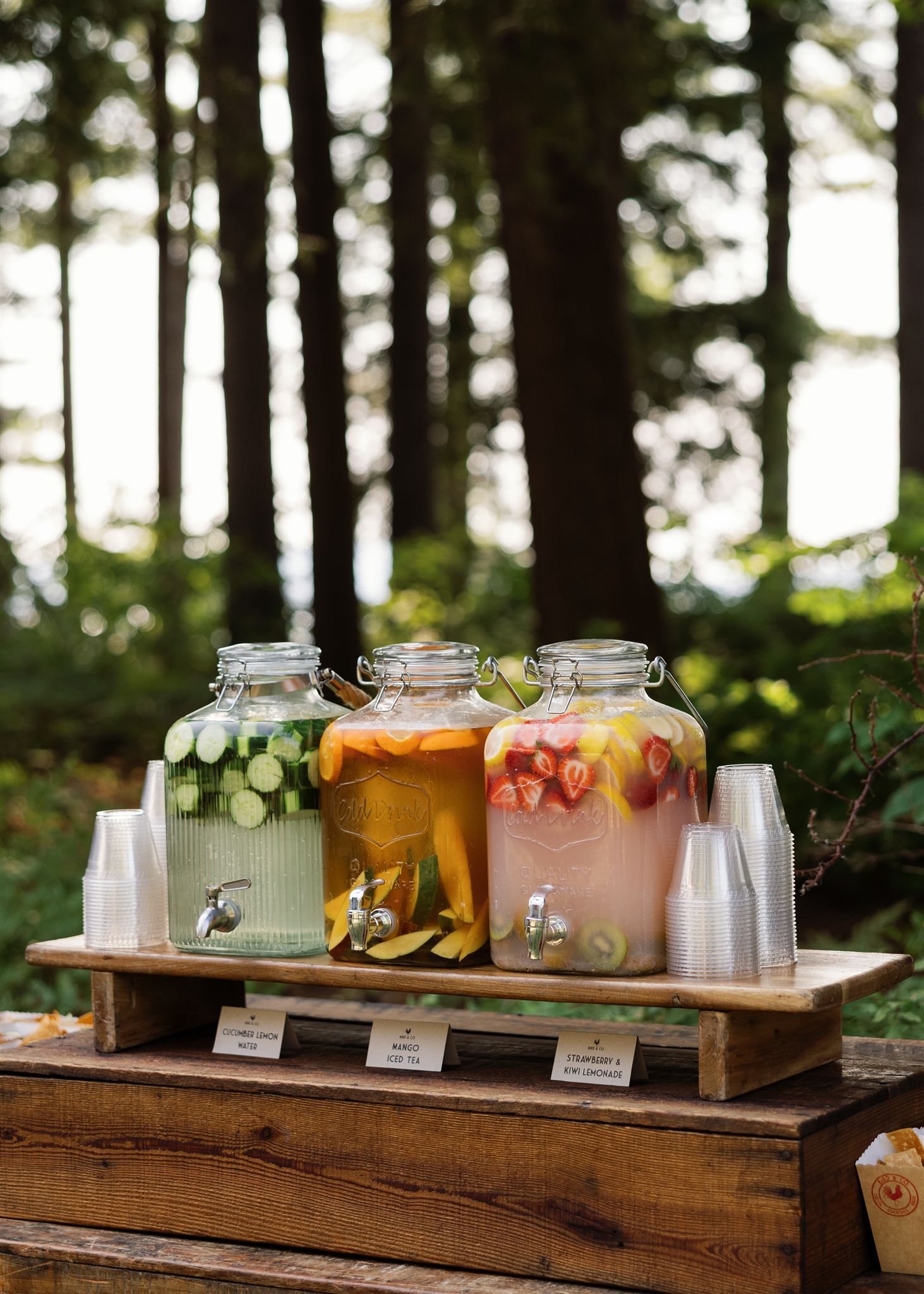 documentary style detail photo from a beautiful Sebago Lake wedding day in Maine