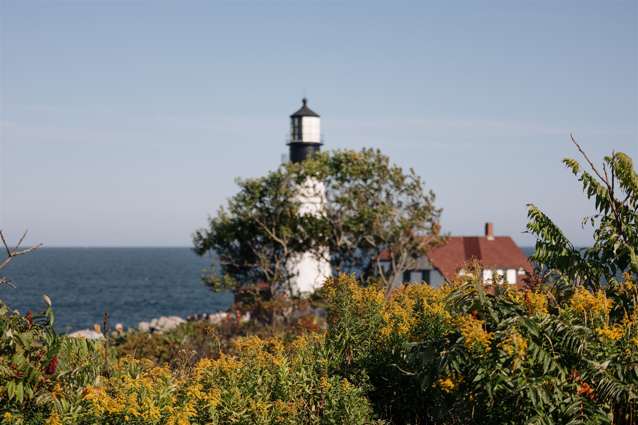 documentary photos from a stunning Portland Maine wedding day