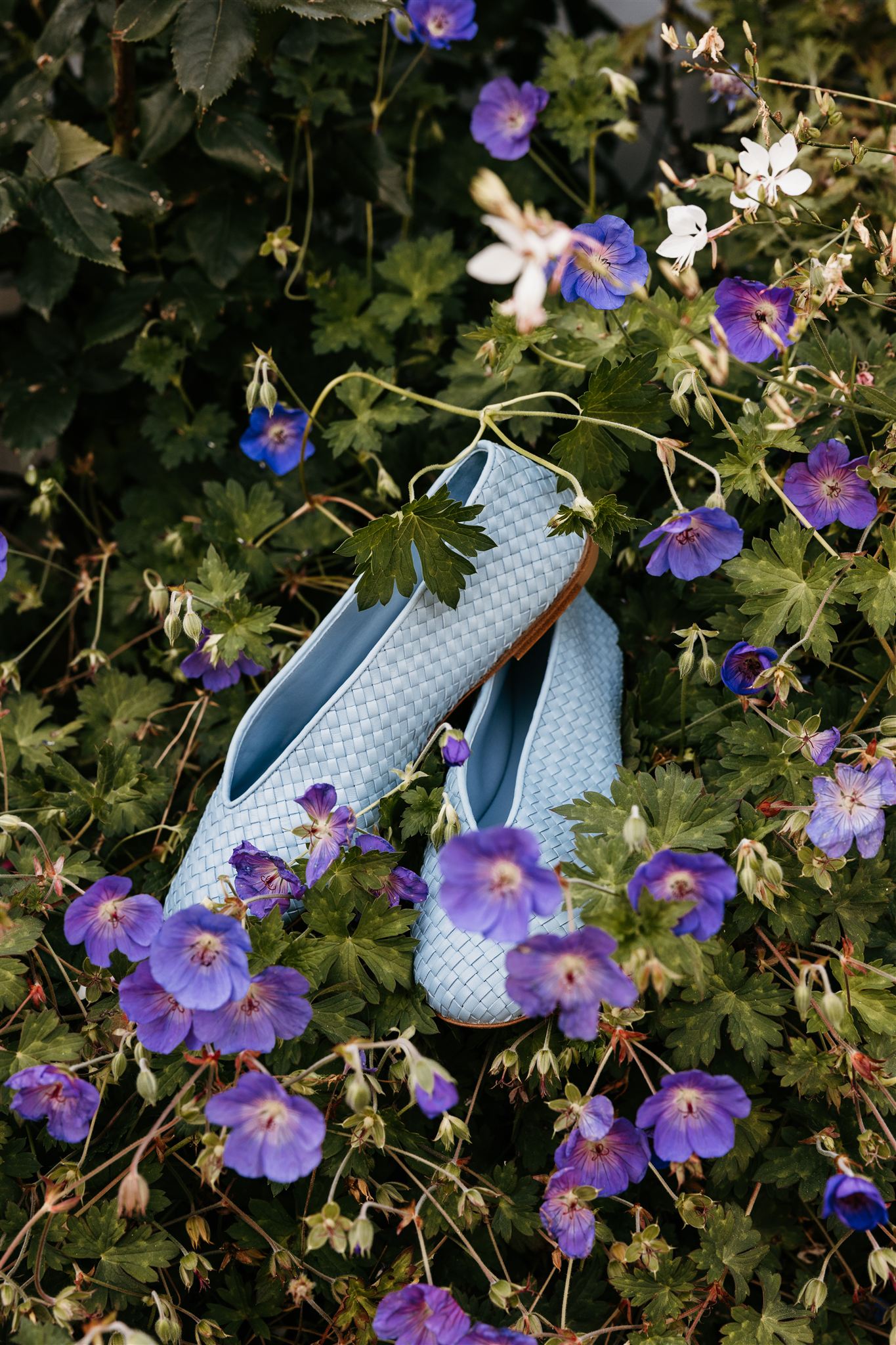 brides shoes sit in the stunning purple flowers