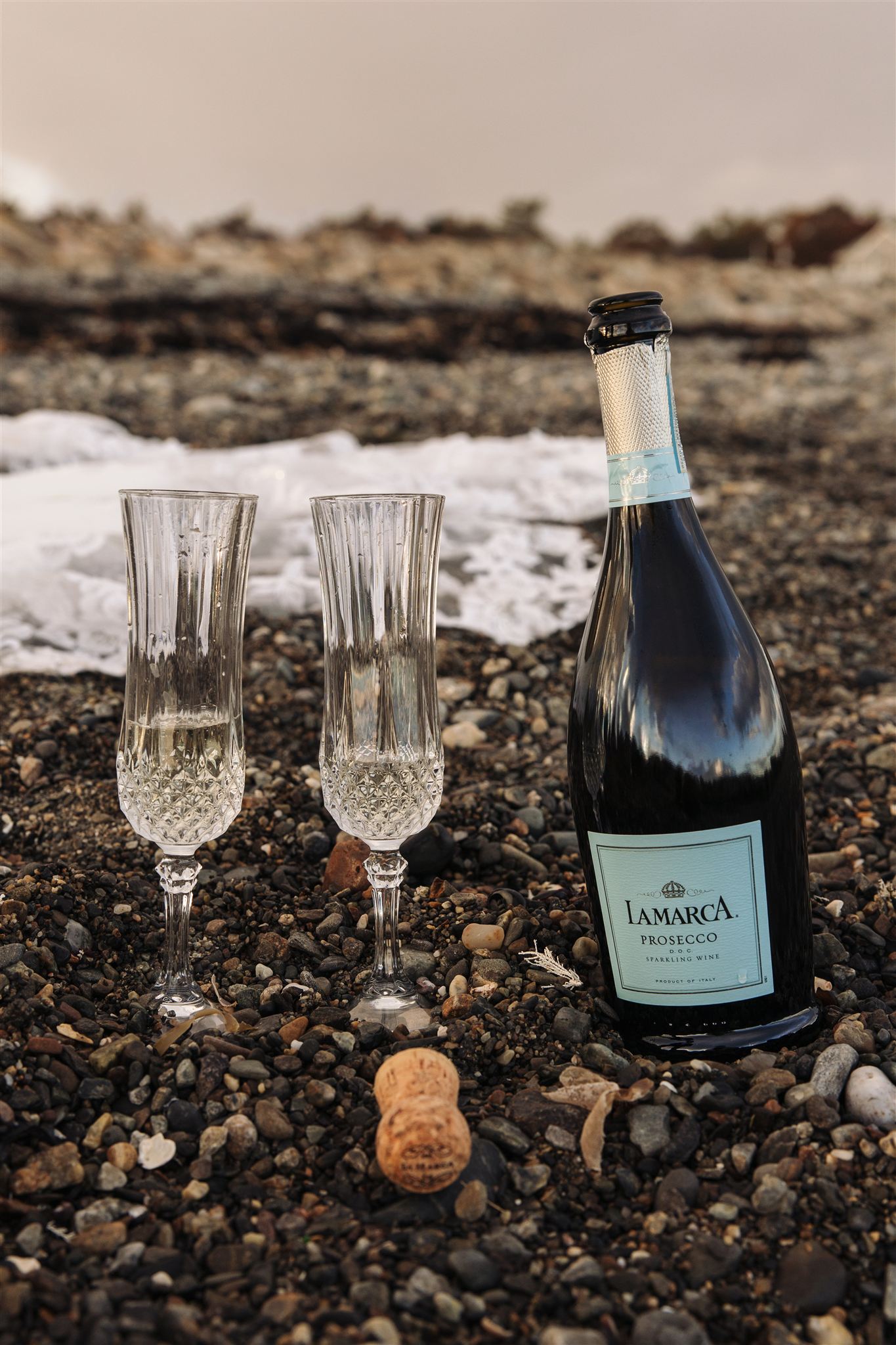 champagne sits on the rocky New Hampshire coastline