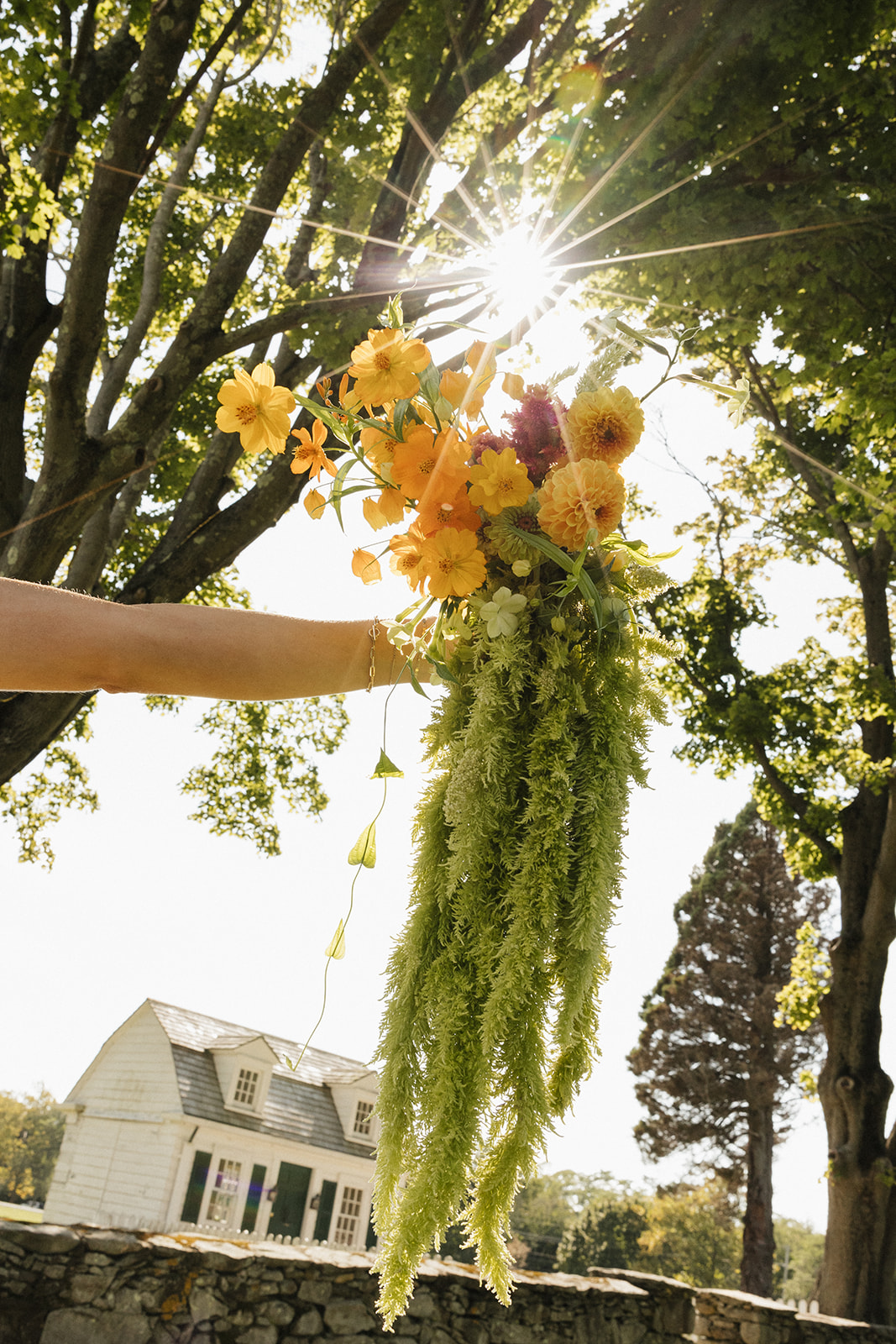 Artistic shot of a light flare and stunning bouquet at Mount Hope Farm 